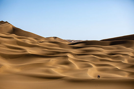 奔跑在沙漠中