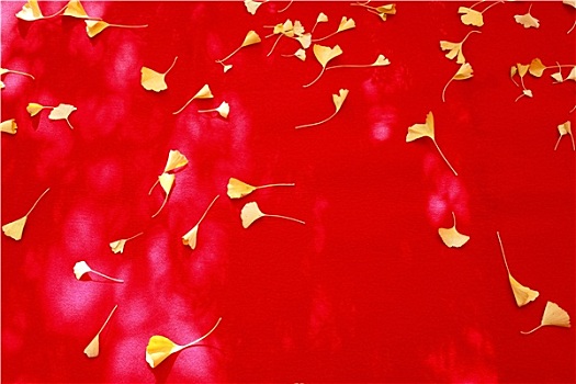 背景,秋叶,红色,布