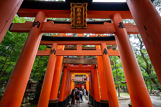 日本京都伏见稻荷大社千本鸟居风光