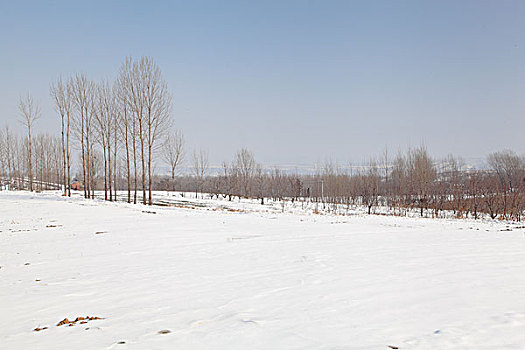 西安乡村雪景