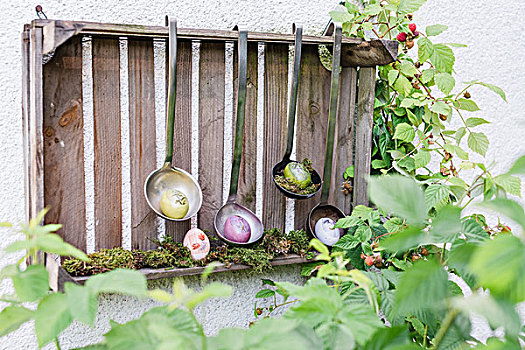 花园,装饰,汤匙,复活节彩蛋