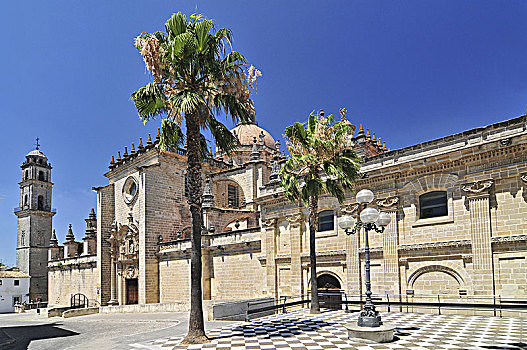 大教堂,卡迪兹,安达卢西亚,西班牙,西欧