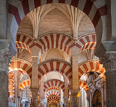 大厅,拱,摩尔风格,风格,祈祷,清真寺,科多巴,大教堂,概念,圣母,省,安达卢西亚,西班牙,欧洲