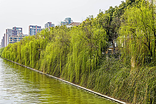 苏州金鸡湖李公堤