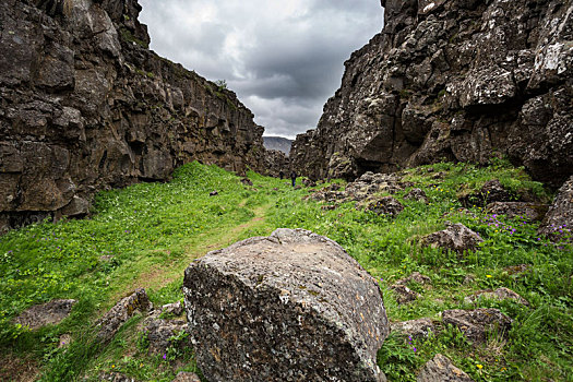 国家公园,冰岛,断层,风景,北美,欧亚混血,盘子,金色,圆,旅游