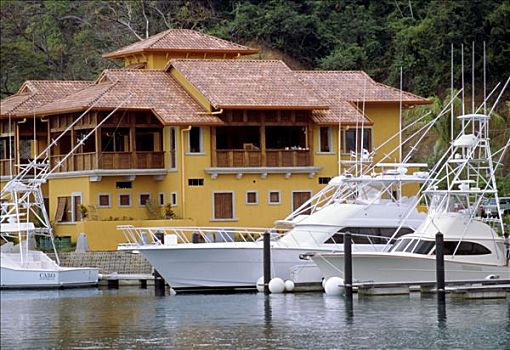码头,干盐湖,太平洋海岸,哥斯达黎加
