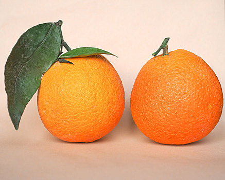 桔子,柑橘