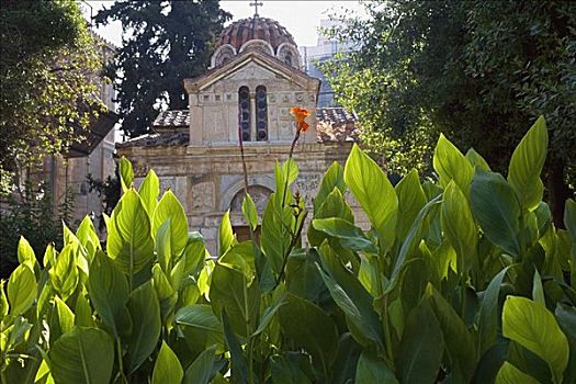 植物,正面,教堂,雅典,希腊