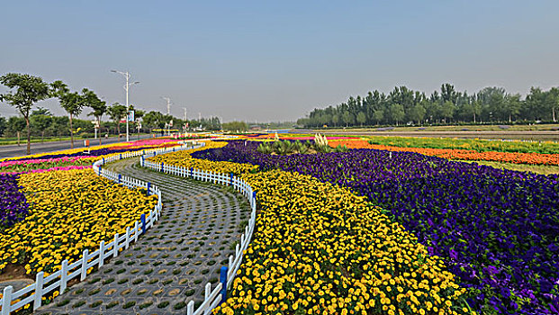 花海