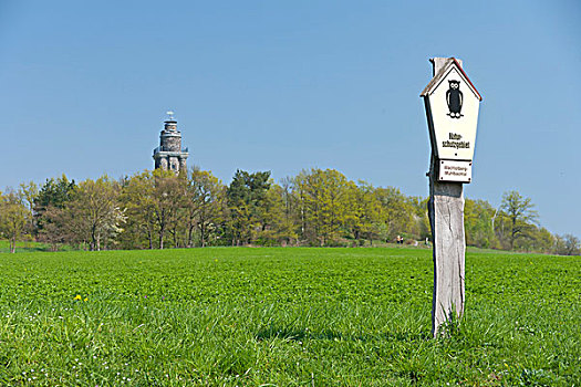 塔,标识,德国,自然保护区,靠近,萨克森,欧洲
