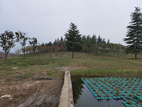 西安鹤鸣湖公园