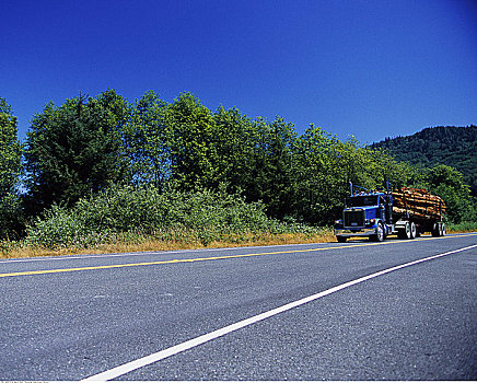 伐木,卡车,公路