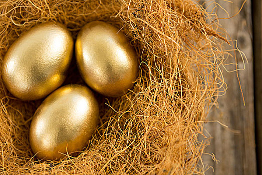 金色,复活节彩蛋,鸟窝,特写