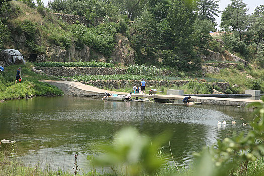 山东省日照市,农村小河干净清澈,市民带着渔网捕鱼收获满满