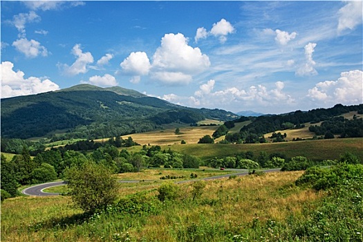 波兰,绿色,山,喀尔巴阡山脉