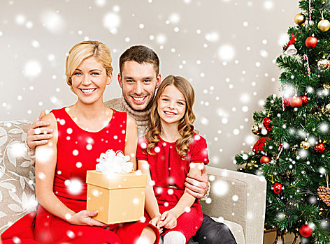 家庭,圣诞节,圣诞,冬天,高兴,人,概念,微笑,在家,礼盒