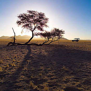 荒芜,纳米比亚,非洲