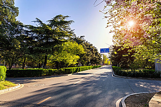 北京大学