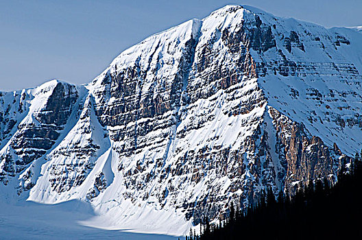 仰视,山,冰原大道,碧玉国家公园,艾伯塔省,加拿大