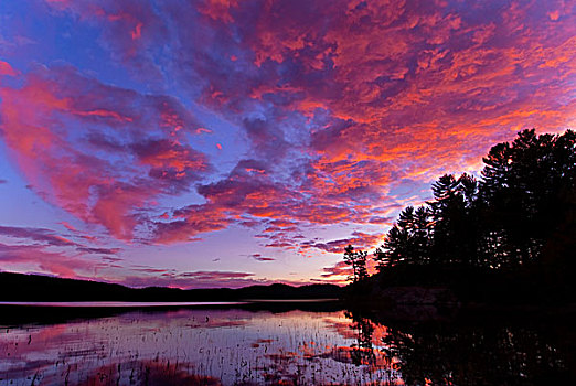日落,湖,阿尔冈金省立公园,安大略省,加拿大