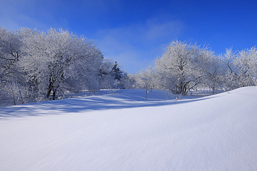 吉林雪岭雾凇美景