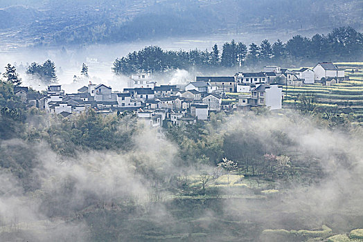 云海,梯田,氤氲,朦胧,诗画,梦乡