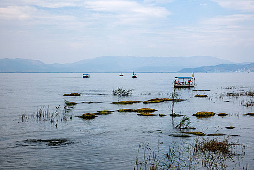 云南玉溪抚仙湖月亮湾湿地公园