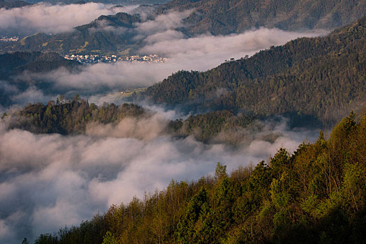 石潭,云海,安徽,山沟,油菜花,风光,壮观,气候,环境,仙境,诱惑,秀美,俯瞰,村庄