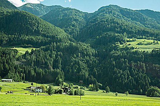 瑞士山地牧场