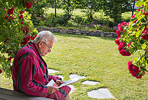 老人,读报,花园