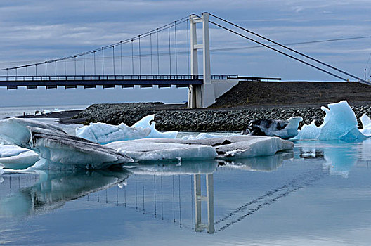 桥,冰,浮冰,结冰,湖,冰岛,欧洲