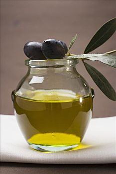橄榄,嫩枝,乌榄,罐,橄榄油