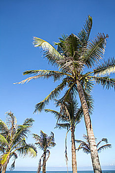 海边海景博鳌海南