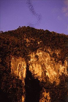 马来西亚,国家公园,日落,洞穴