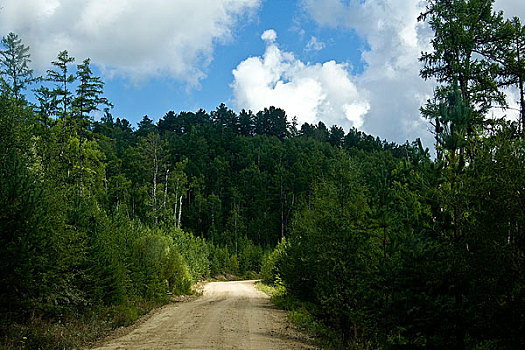 林间小路