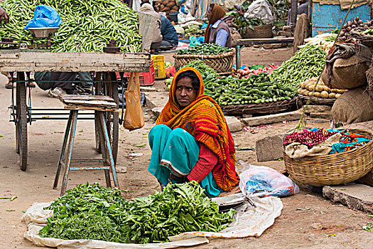 印度,北方邦,瓦拉纳西,女人,上方,莴苣,出售,街边市场,使用,只有