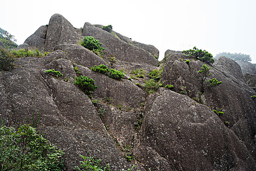 安徽黄山风光