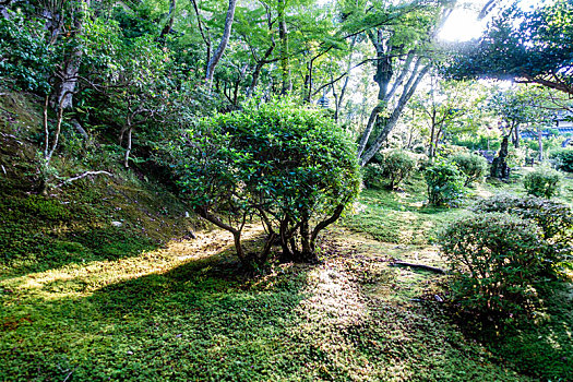 日本奈良日式庭园,吉城园,景观