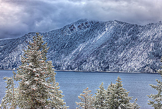 积雪,山,远景,俯视,树,背景,湖,爱达荷