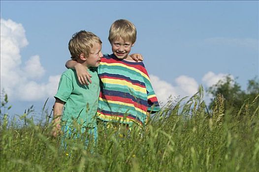 两个,小男孩,兄弟,8岁,站立,花,草地