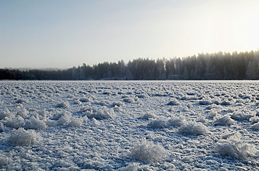 雪