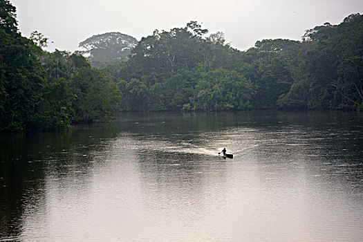 厄瓜多尔,河,独木舟,湖,雨林,雾气,亚马逊河,大幅,尺寸