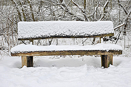 积雪,长椅