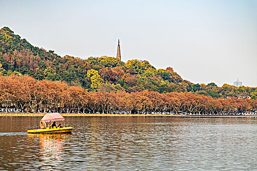 杭州西湖秋景保俶塔