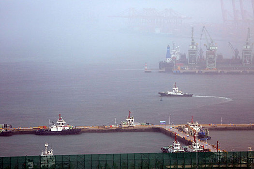 山东省日照市,暴雨突袭港口,运输生产紧张有序