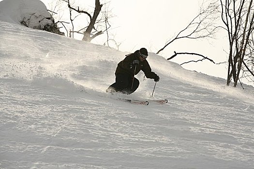 滑雪