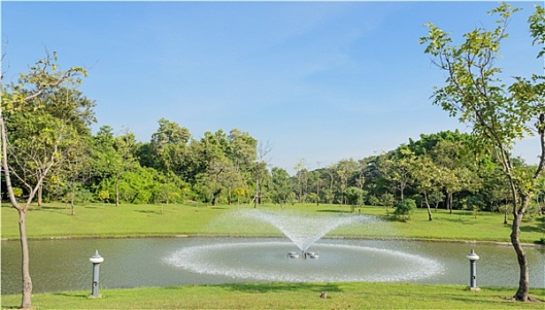 喷泉,水塘,绿色公园