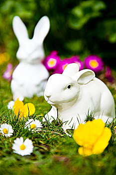 复活节兔子,春花