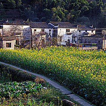 休宁村落