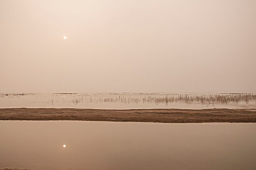 柠檬水